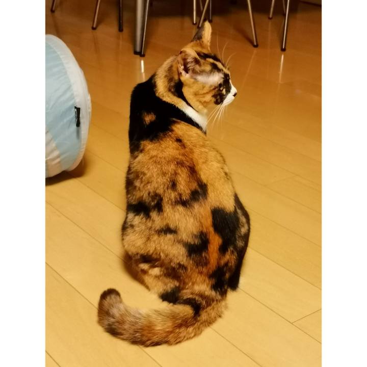 21d22945 c733 4f51 a72b 4a0d53358295 1645425267231