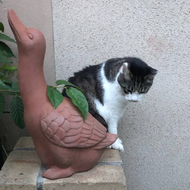 21d23358 94a6 4a0d 9fd2 34c869c1e771 1561384244312