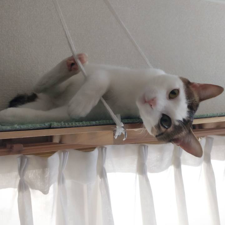 21d2352c f5ad 457b 89b3 ae71328af98f 1672444296612