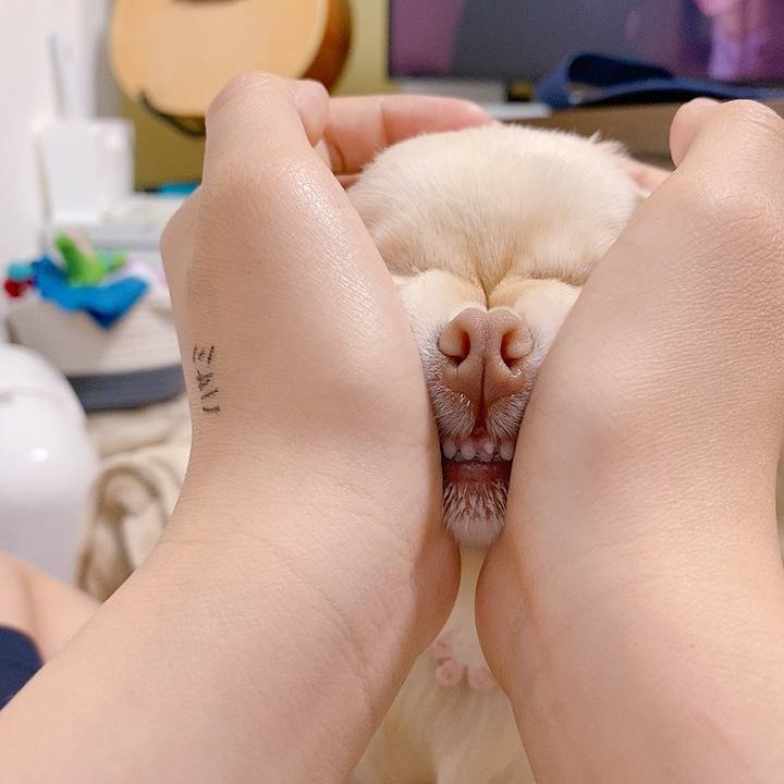 21d246b4 490a 49ba 857e a143383cc80b 1619426241634