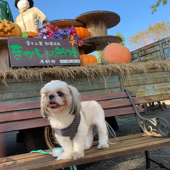 21d286b6 b8a7 4201 9671 1f751e3ee93c 1570258183630