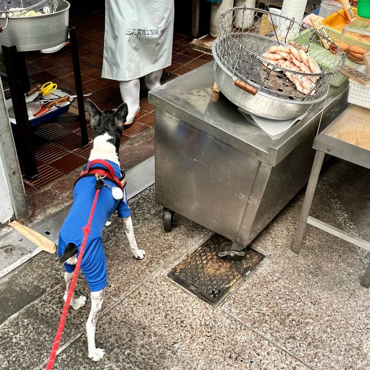 21d2aae9 432a 41c9 bbf2 5d0a1c84b53e 1654391822153