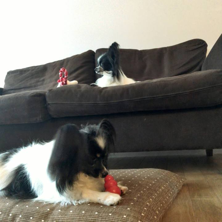 21d2c3da ec5c 408c 8ff6 f0acff0af552 1525302642379