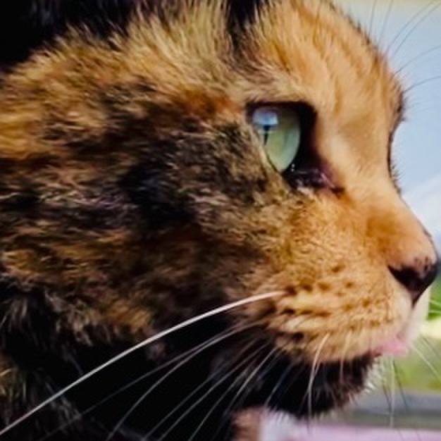 21d2e5eb 9d10 419f b7d7 8eefb429e942 1729223741505