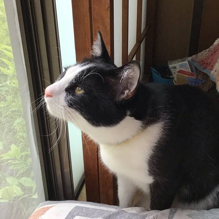 21d31931 a6c0 4f67 bacc be907edefe2a 1652416968501