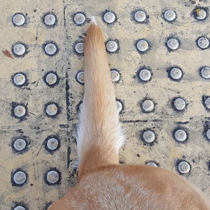 21d37654 fc03 4fc6 ad75 edd02029e85a 1512442126992