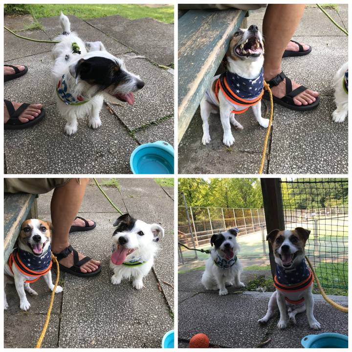 21d37adc a8e4 4c3f a562 9624debaa2c1 1533461895598