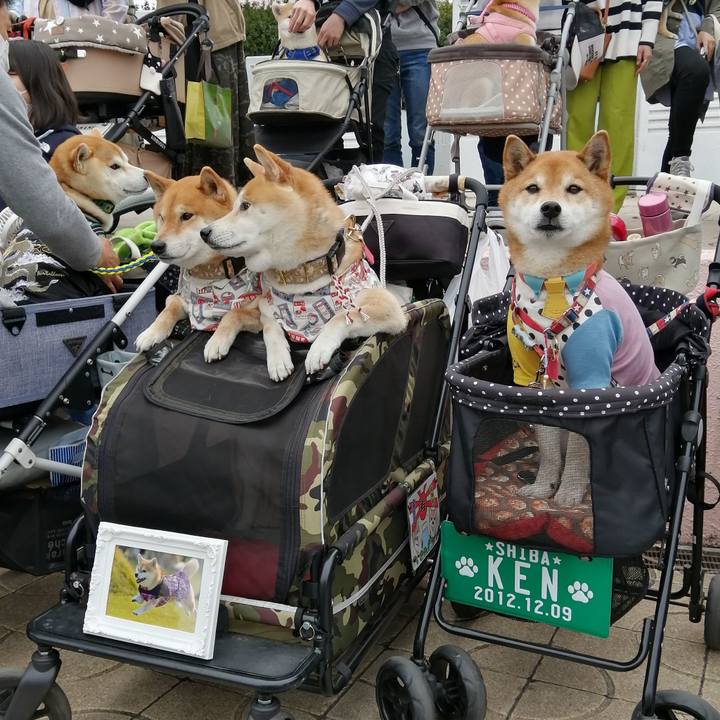 21d3c2c3 6e69 49e5 958f 7048e35aeb96 1678855233415