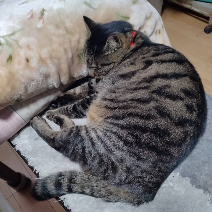 21d404a6 7a47 493c 94a3 2a7fb29dc885 1672193646659