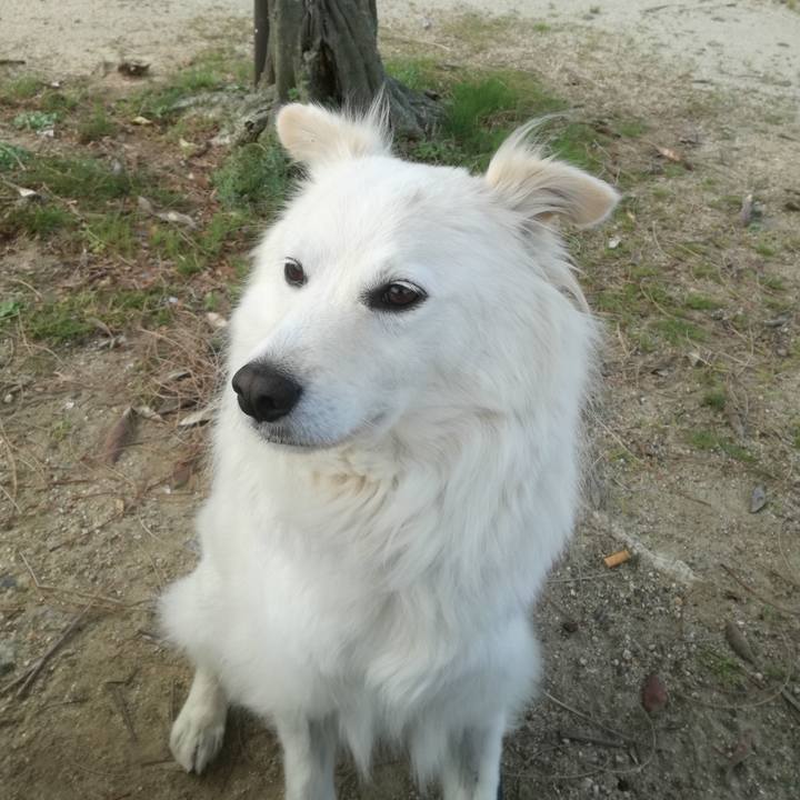 21d40c51 a244 4aa2 ba2e 3f2c1c8a2fcb 1523262197728