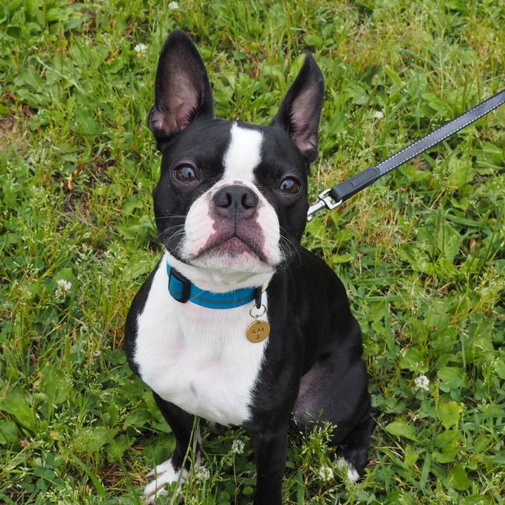 21d418e2 604e 4f63 962e 652b9d040f6a 1560053076060