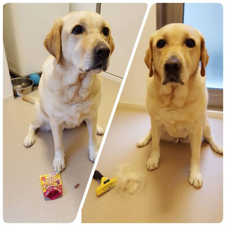 21d41a0f 21a4 48cb a194 377c5960d672 1520565675045