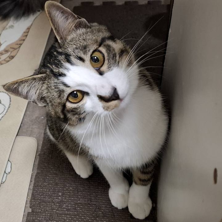 21d42468 8f34 4fd8 8c1c 81318caef913 1738839467503