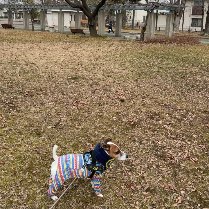 21d48c20 10e3 4951 90dd d1473dda42d9 1737706528489