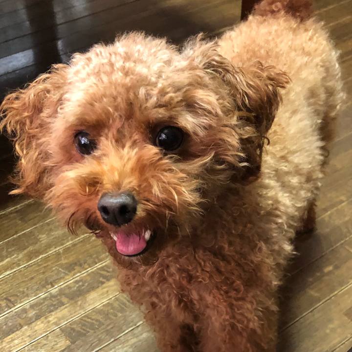 21d4926a 053b 4a7e 96b6 9da10b555c59 1541631894764