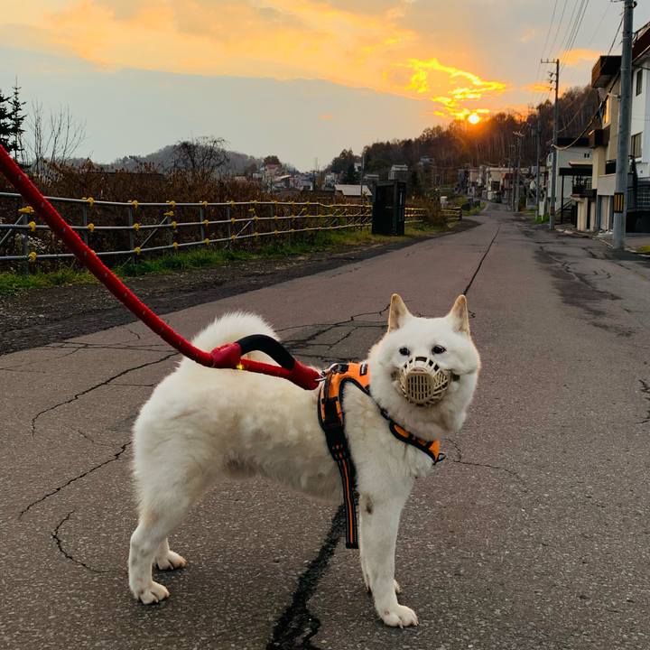 21d4d456 0fda 4ffa 946b 66ee3e174180 1667946853381