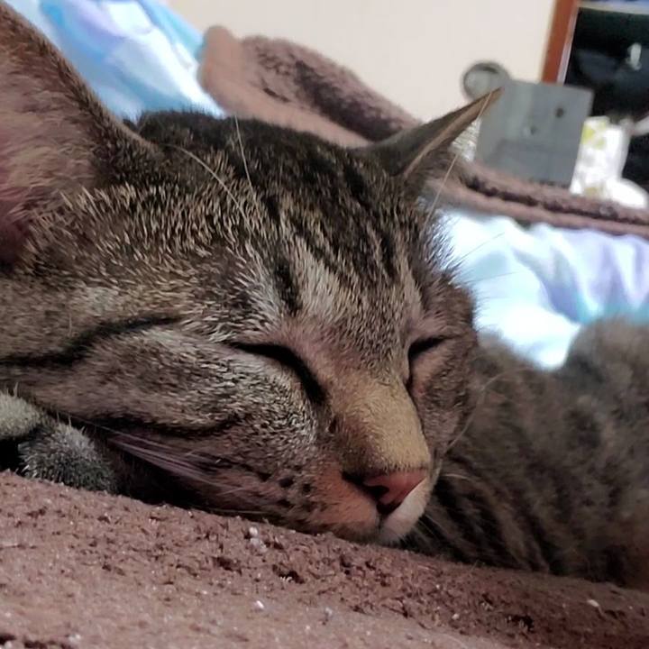 21d4d9c8 15dc 436d 88e6 89f94904567e 1722580996253