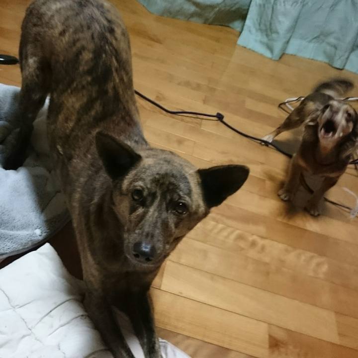 21d50fe0 69b2 4711 aa29 ba46a1d18e1c 1513074220780