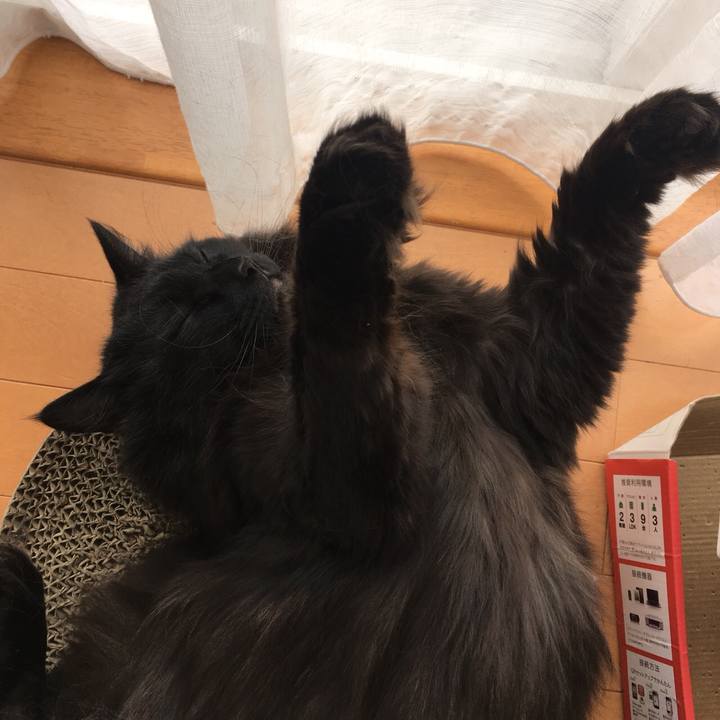 21d53211 c66c 4054 9a84 475f238b6e95 1554779465311