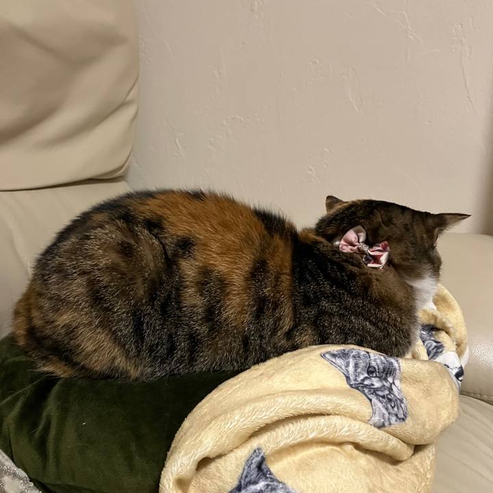 21d545c8 d5c9 4dbe acfc 3b827d70efaa 1763385145067