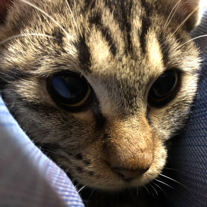 21d5abf1 2c03 4e32 a1fb 82c3f3a5368c 1736671937632