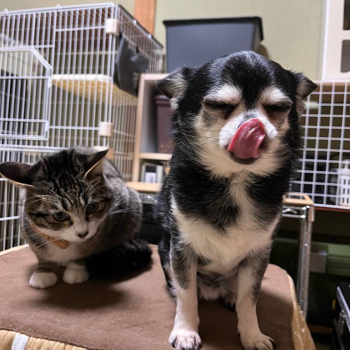 21d5e11b ddef 4bfd ae91 e93ecf093de5 1707376313246