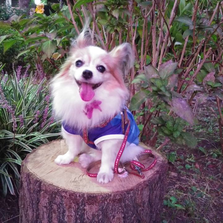 21d5ec3e 4c09 4379 aabe 20da8b4f3095 1748881910978