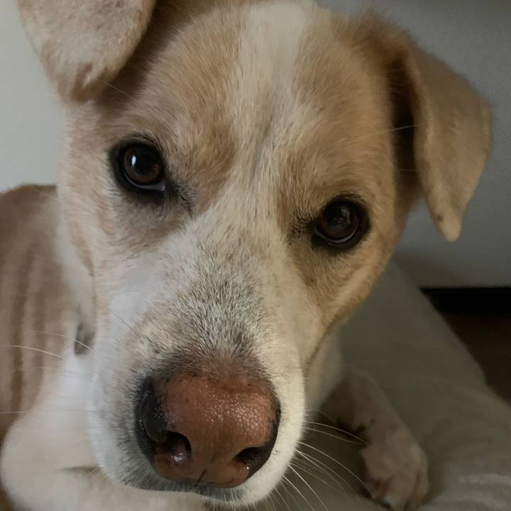 21d5f695 1a2e 4ca5 9b3e 9bc05227cd3c 1574814644665