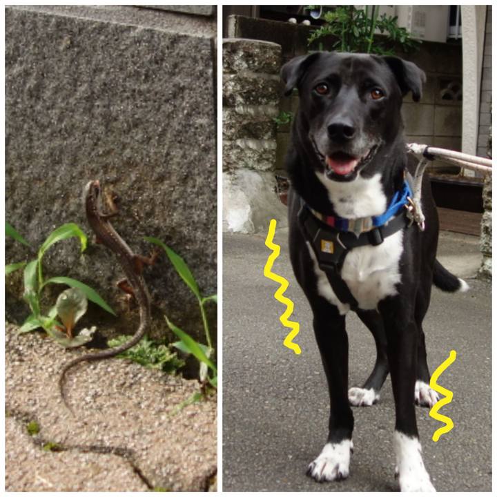 21d5f6e1 6c6a 48e6 9393 ede9d2c7a925 1658102105195