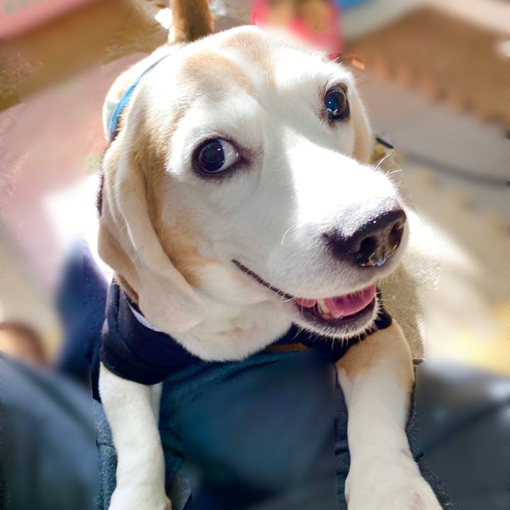 21d5f94c bd56 4b9f 883a 6331dc19c218 1637816125980