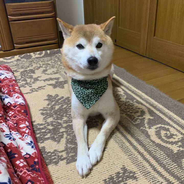 21d6098d 7e4e 41db 9196 5f76b4fae1d0 1645441727018