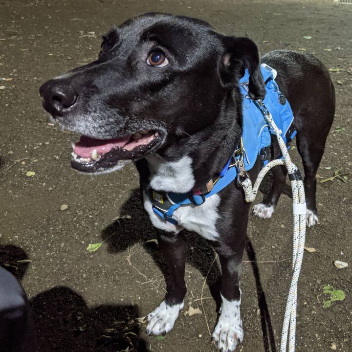 21d61711 5f82 4a48 bcc6 a1be28658cd1 1635244901706