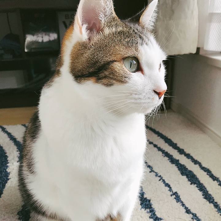 21d62031 0fa5 4815 a512 2245ab2ddfc5 1510888946542