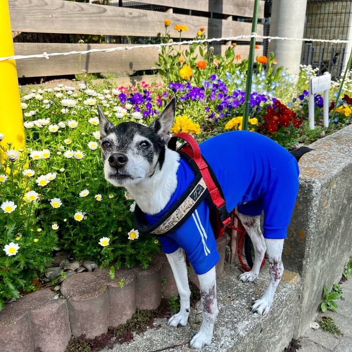 21d69bf6 7df7 4e00 89e2 d38143468c47 1649557206052