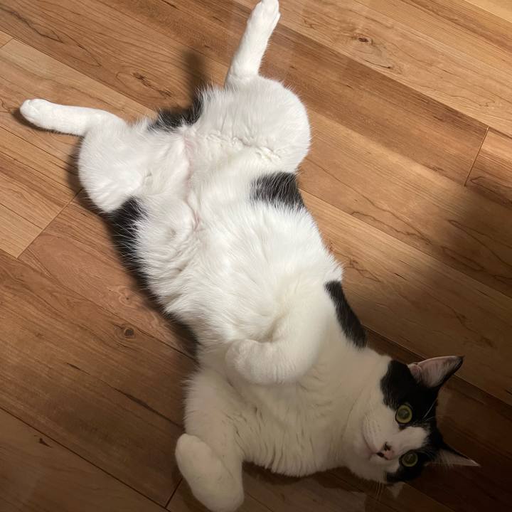 21d70a71 137e 4203 8684 ca9003261905 1659538153299