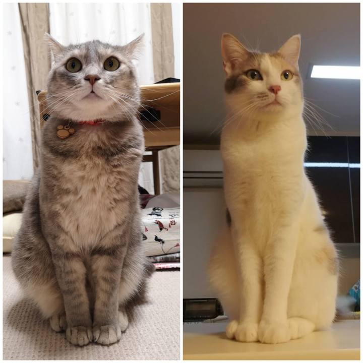 21d711d0 5320 46cf 9a0d 1378a9be133c 1571386728677