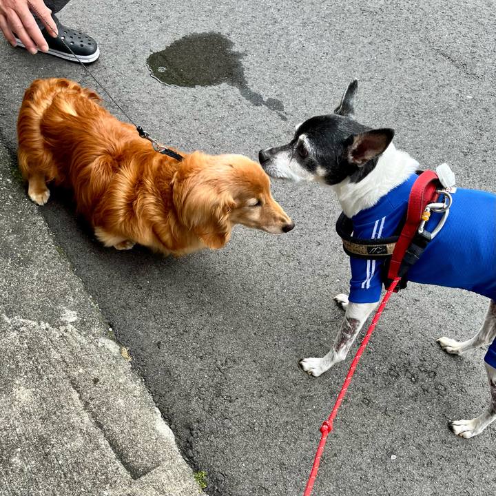 21d74046 7972 4f86 83c6 c949652c16e5 1654906548784