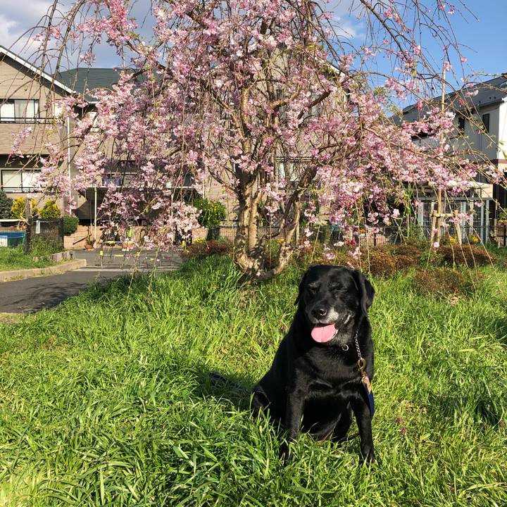 21d74b0e d5d1 41ba a8e2 21db2f6a8fa5 1586156032615