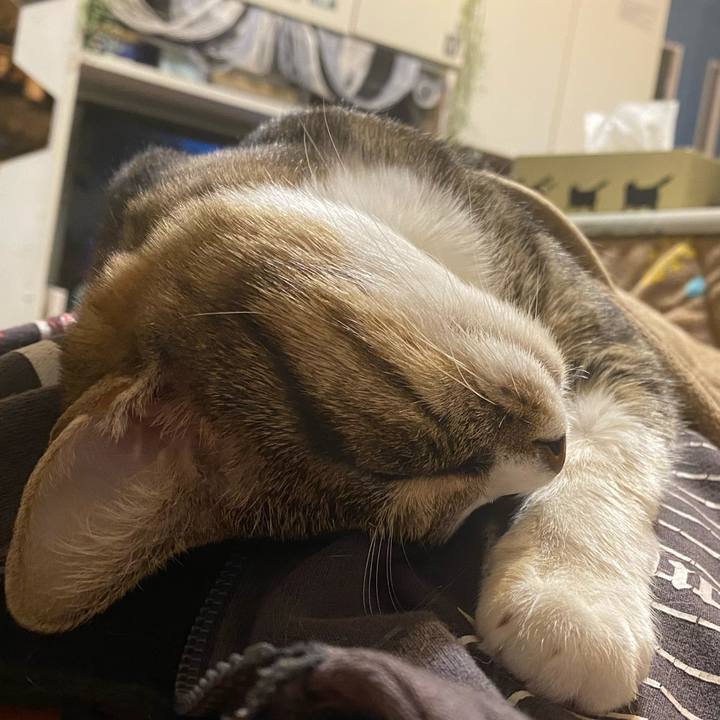 21d75b28 eda7 40e1 b9f9 7611668b44e2 1608642604906