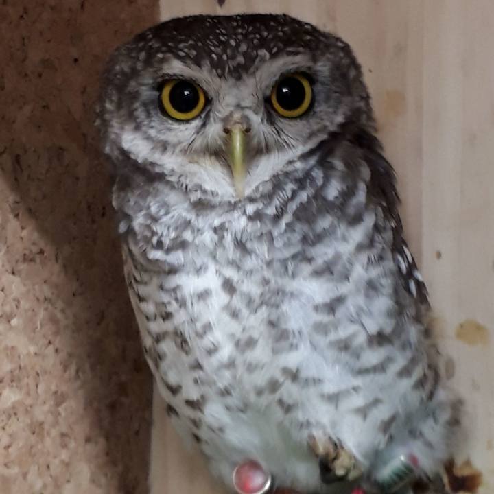 21d76338 924f 4bbc b25c 92dfd0dbbc5a 1517002926334