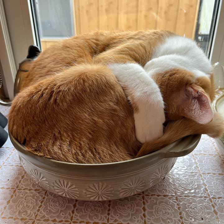 21d7c7b4 8bb3 4ffa 9f8d 6bd2ed1bd9c2 1696326406955