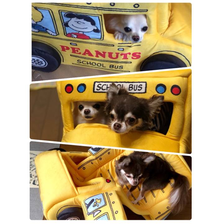 21d7e2e1 68ab 4632 9f8c 639a6ce0e6e9 1535287596988