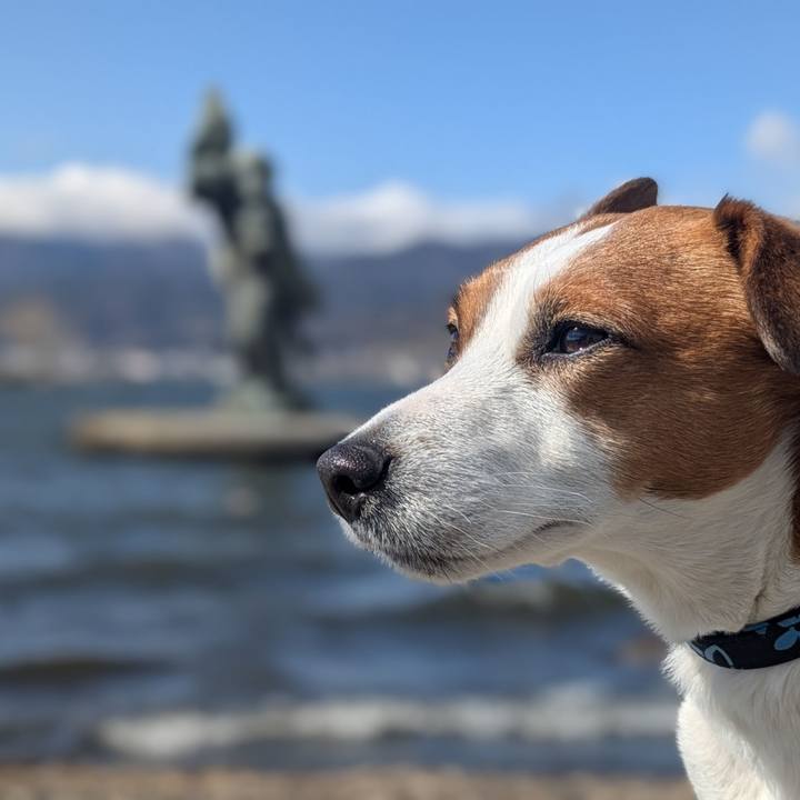 21d8333d 9389 4951 9586 232737df54bb 1773924507301