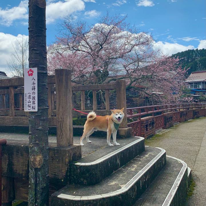 21d850db fb88 449d a8ca 23808d23b394 1679742249213