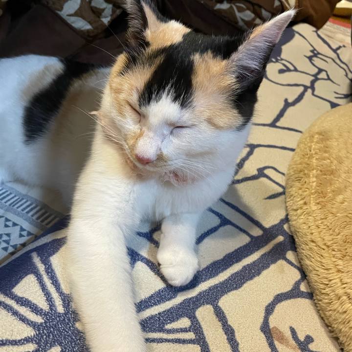 21d86607 7cfb 4ad4 ab2c e4212cf8d64a 1668586457287