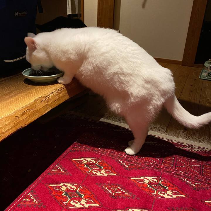 21d869cf 2edf 4e86 8eb6 f9adca14f477 1607830087529