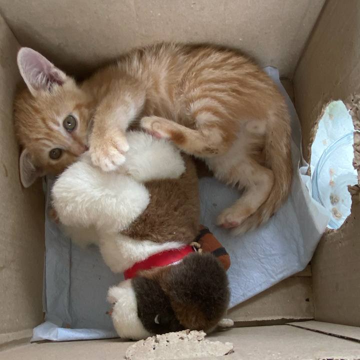 21d86d17 1a31 4308 be04 7f028248440d 1656909876423