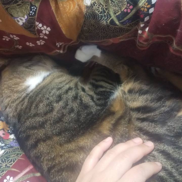 21d89a3a 6256 4d37 bf97 6a93232446fa 1711258908994