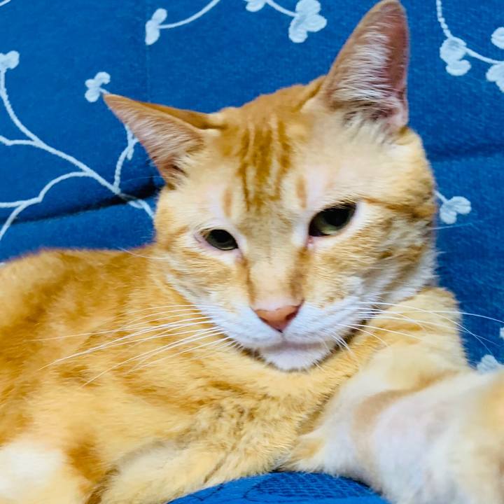 21d8c7ca 4a39 4f36 81b8 4a604c56fd5c 1599131844614