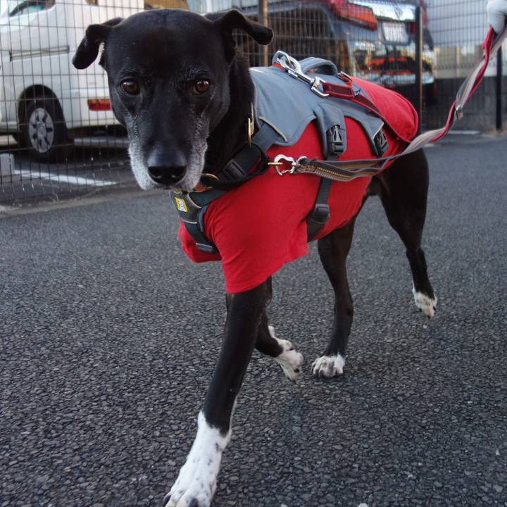 21d8c8a5 ba47 4d9d bca9 128a4a4113c3 1734311970218